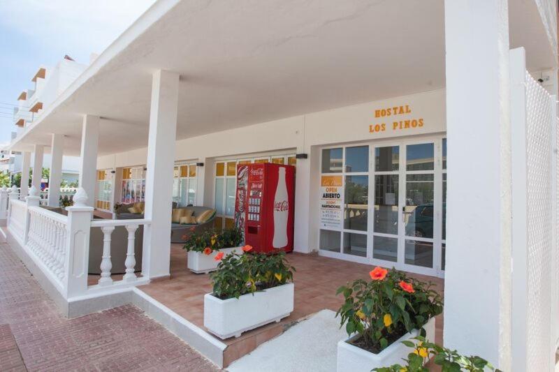 Hostal Los Pinos - B&B
