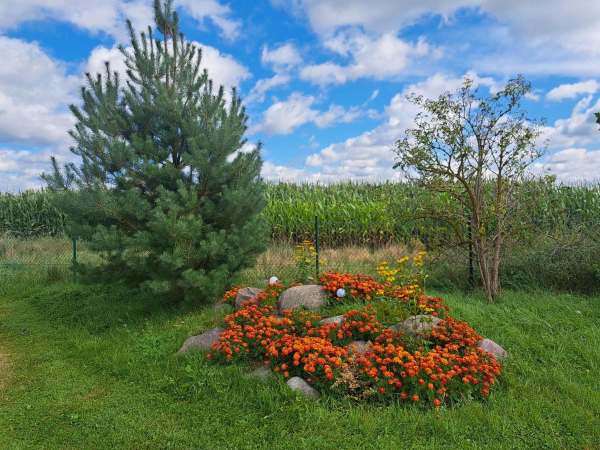 Domekpodgrusza - B&B Lutom