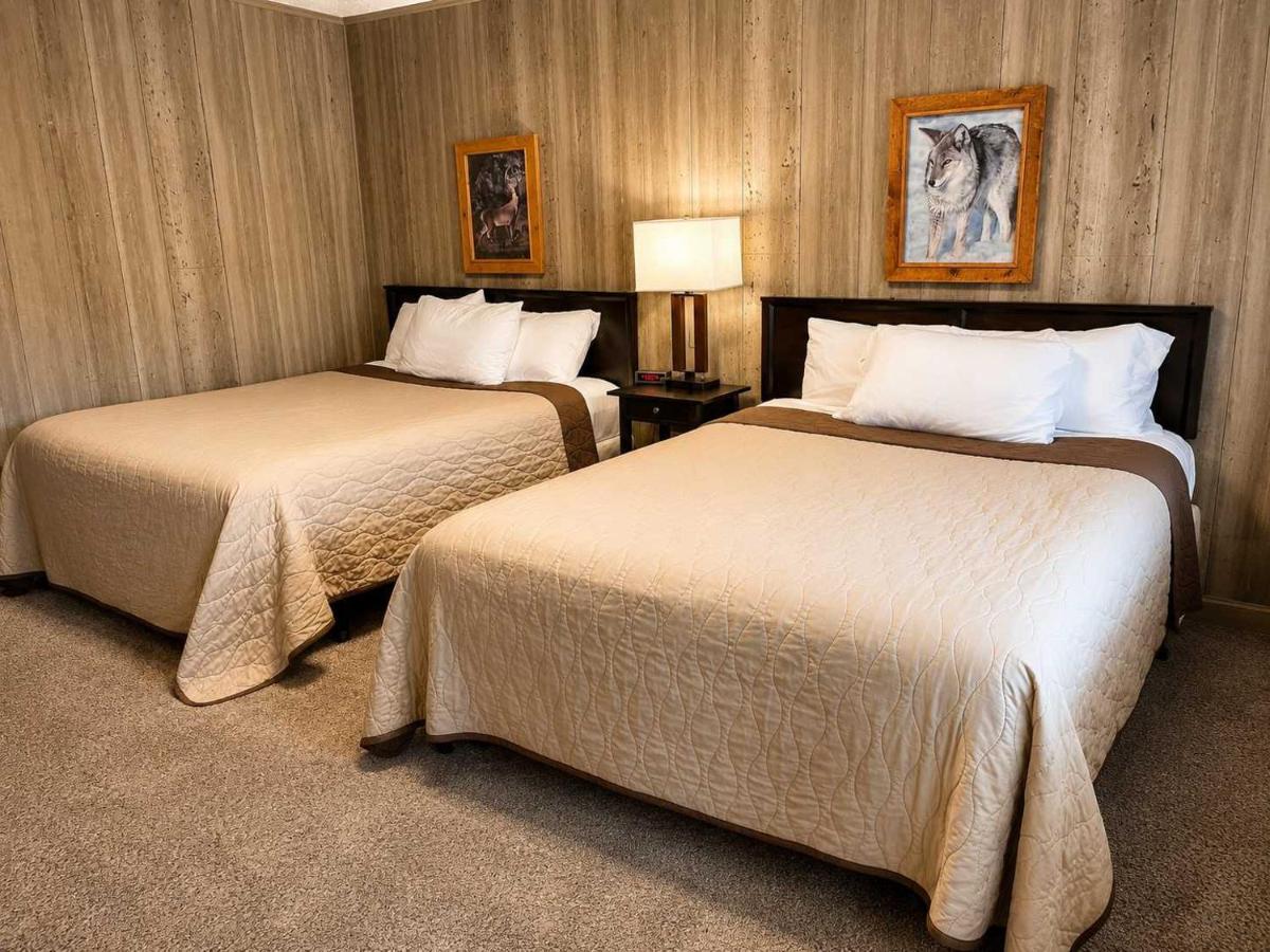 Room 21-2 Queen Suite-Woodland Motor Lodge - Chambres d'hôtes Grayling