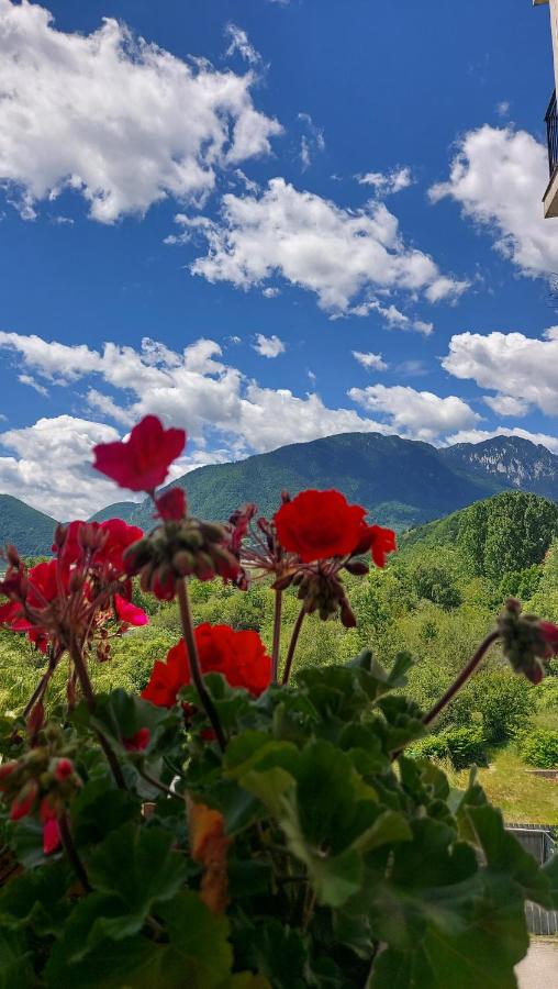 Panoramic Residence - B&B Zărnești