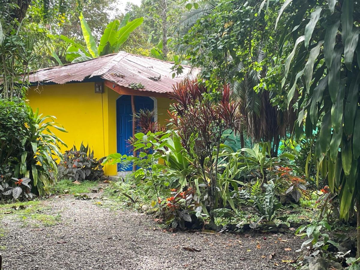 Cozy cabin by the sea - B&B Cahuita