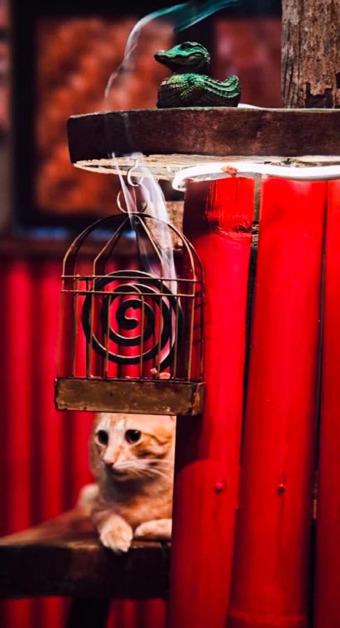 Firefly Treehouse Cafe and Bar - B&B Ytaya