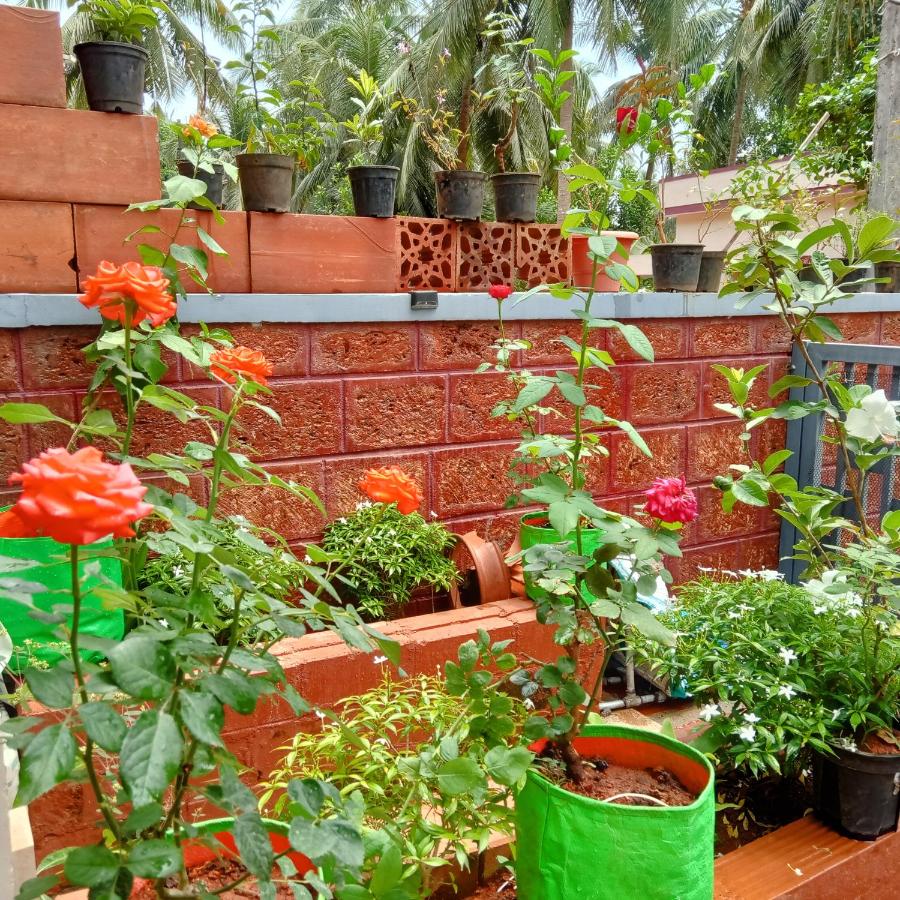 DhruvDhanush-the eco friendly homes - B&B Ullal