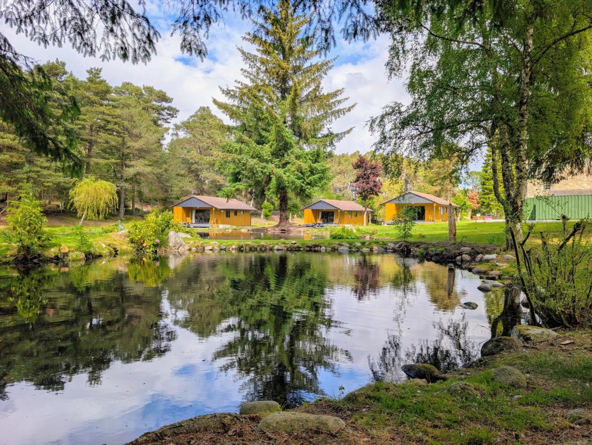 Reuben's Highland Retreat - Speyside - B&B Carrbridge