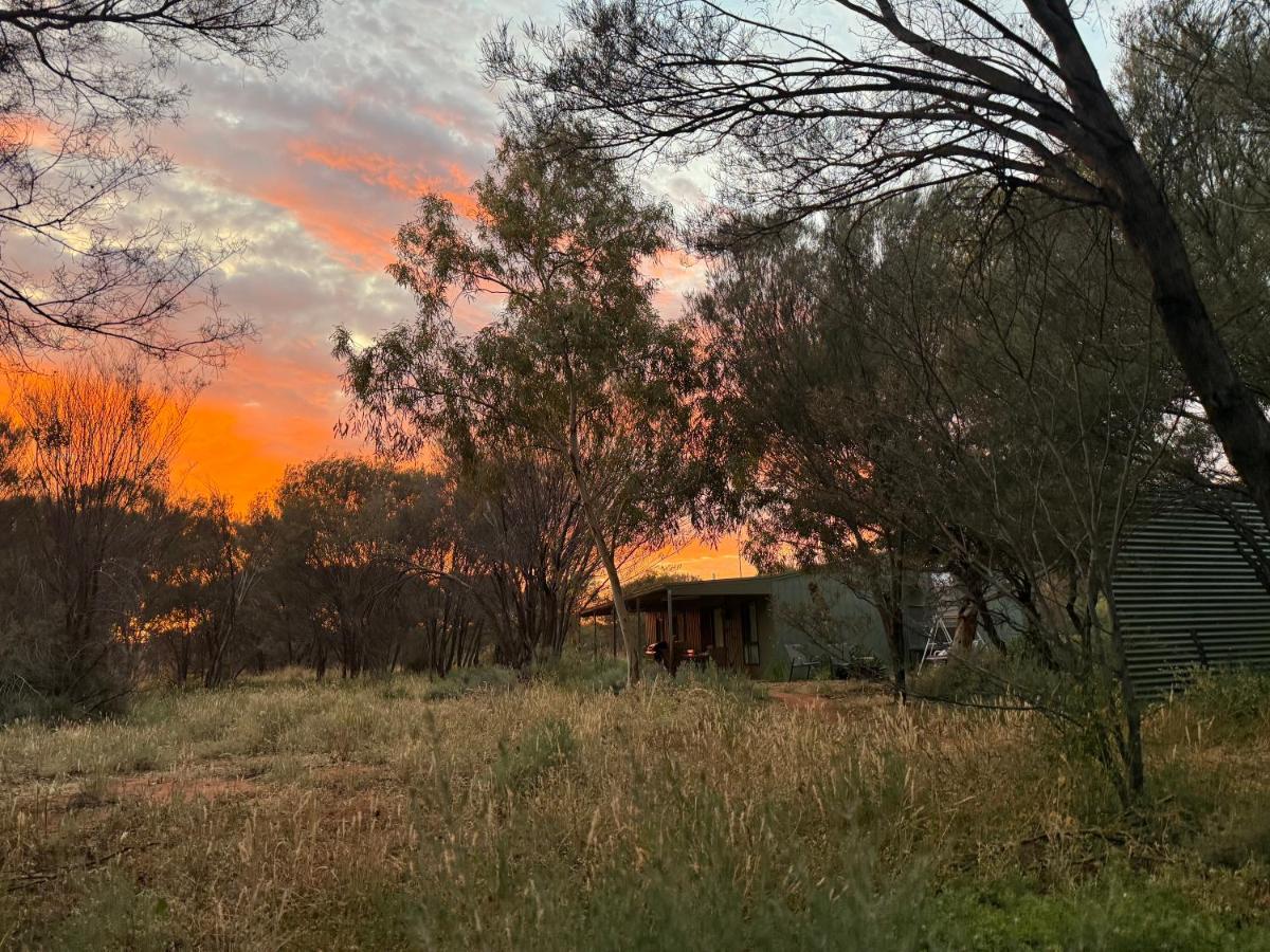 Nature of Alice - Bush Retreat - B&B Alice Springs