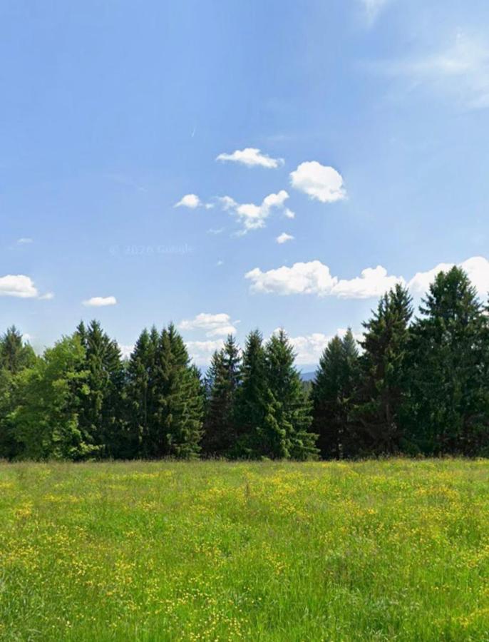 Villa Apartment Himmelberg - B&B Himmelberg