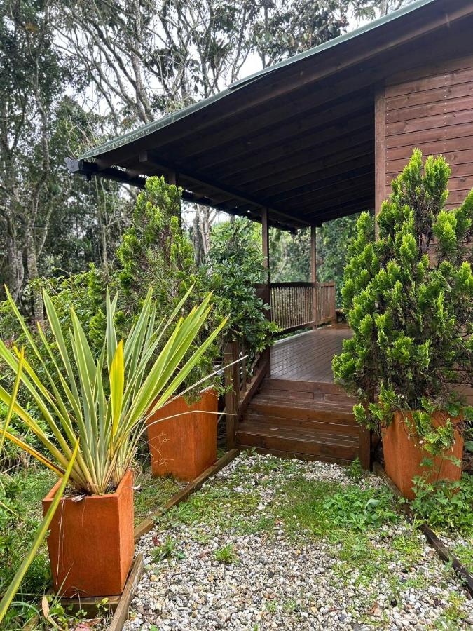 MAGDA Nature Lodge - B&B Retiro