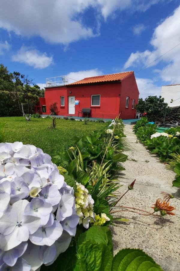 Quinta do Norte - Biscoitos - B&B Biscoitos