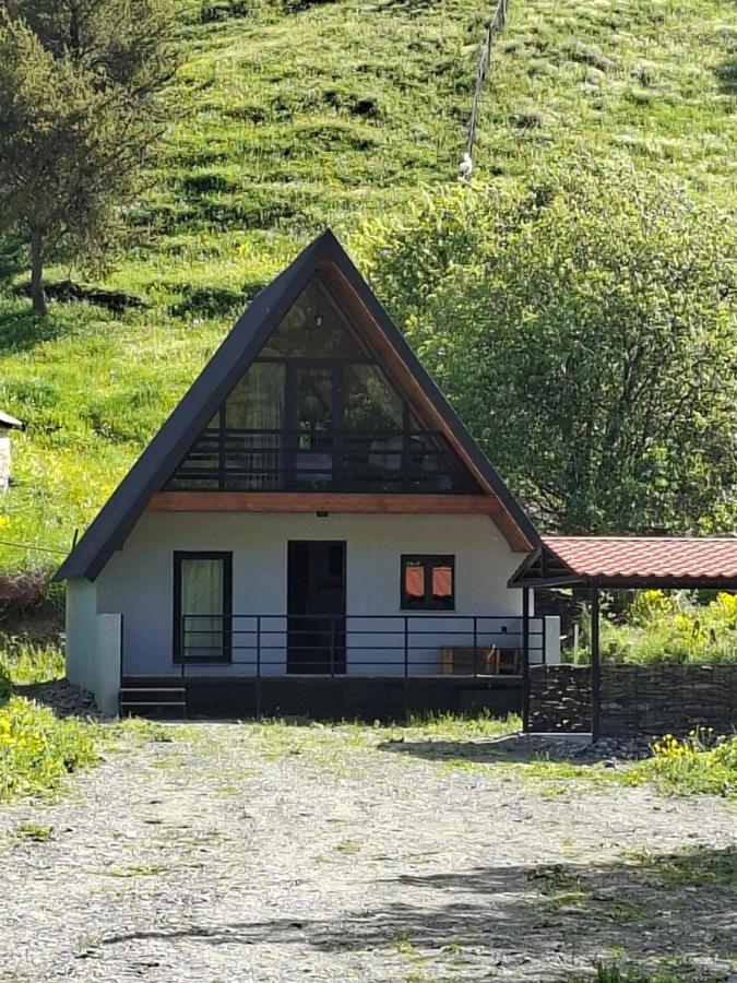 kazbegi - Sno Mountain House - B&B Sno