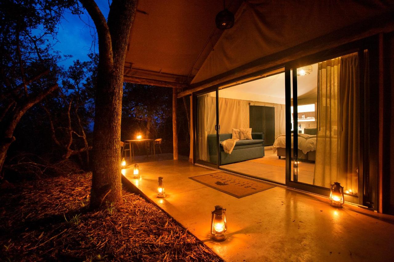 Bellevue Game Reserve - Safari Camp - Chambres d'hôtes Paterson