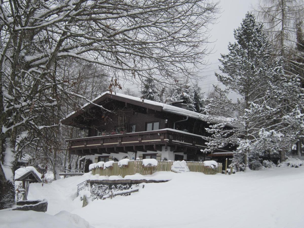 Appartement Anneke - B&B Niedernsill