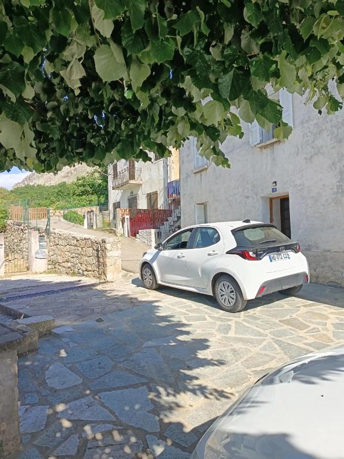 Charmante maison avec vue sur la montagne à Albertacce - Ferienwohnung Albertacce