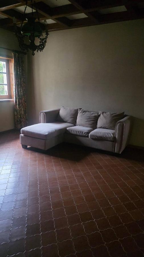 Serene BB Retreat in Oliveirinha, Aveiro with Garden Views - Ferienwohnung Oliveirinha