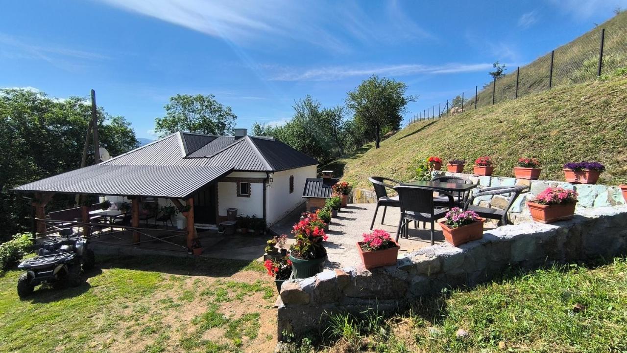 Vujanac vikend kuća - Bed and Breakfast Raška