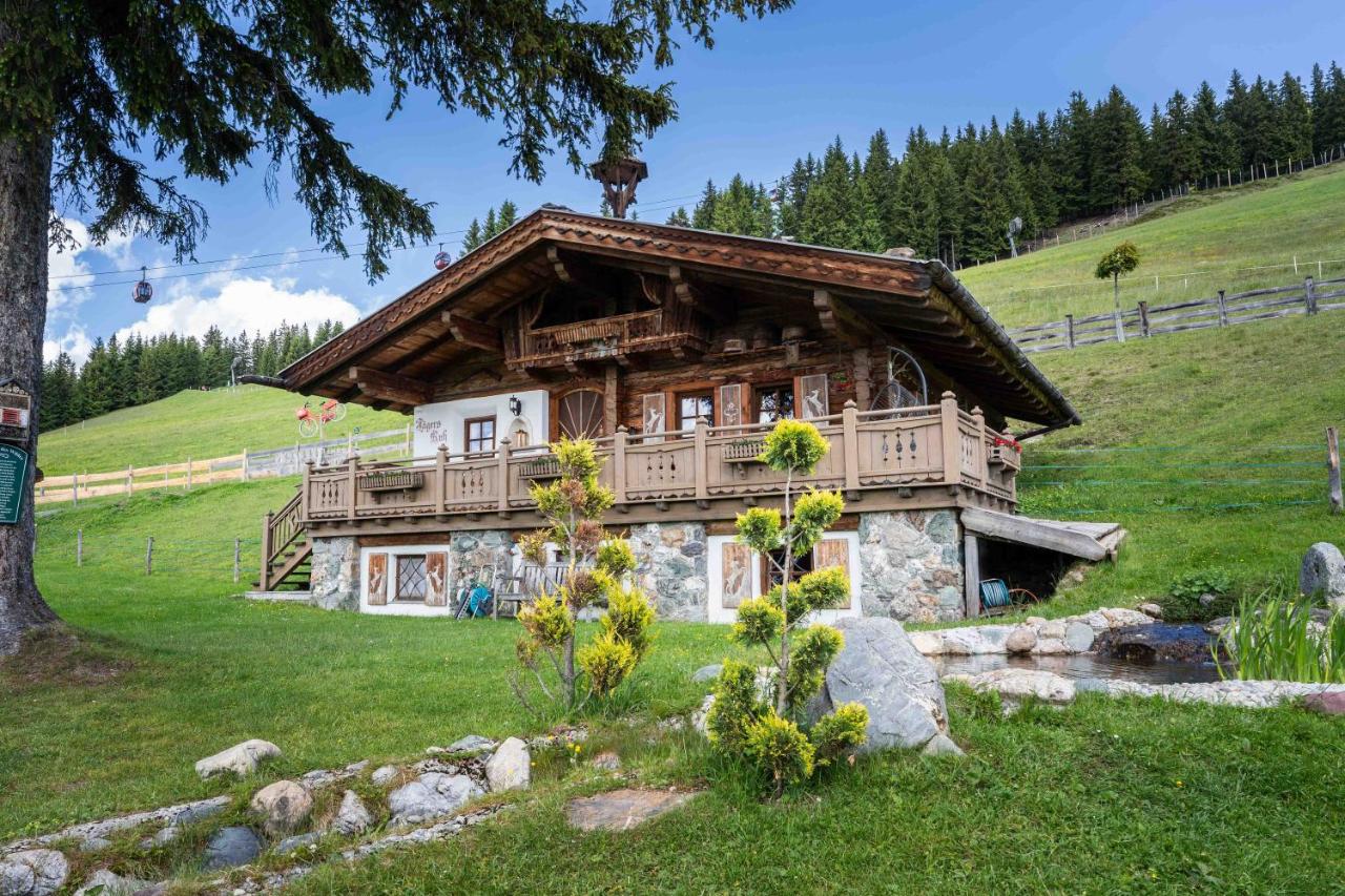 Panorama Alm Chalets by we rent JOKERCARD INCLUDED - Ferienwohnung Saalbach-Hinterglemm