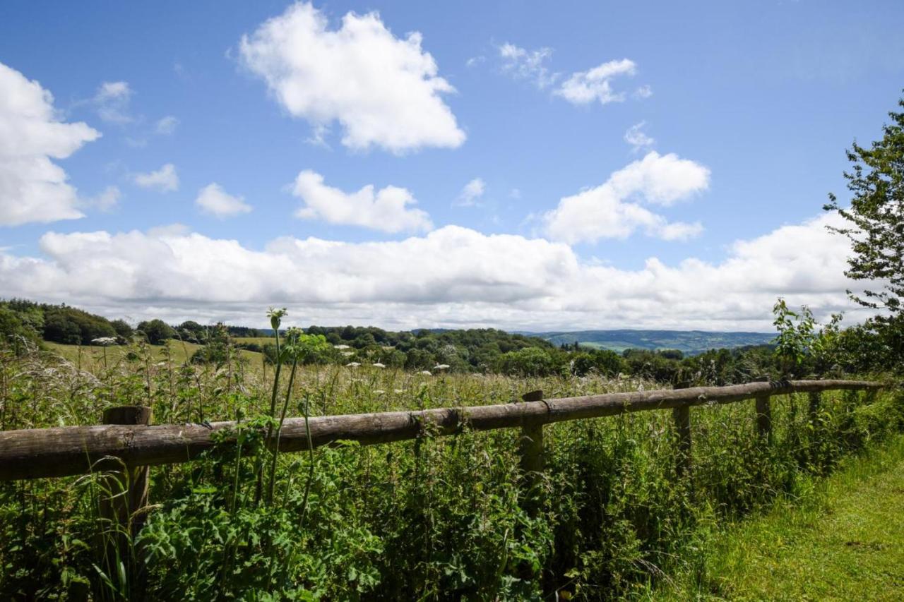 3 Bed in Monmouth oc-52149 - Bed and Breakfast Welsh Newton Common