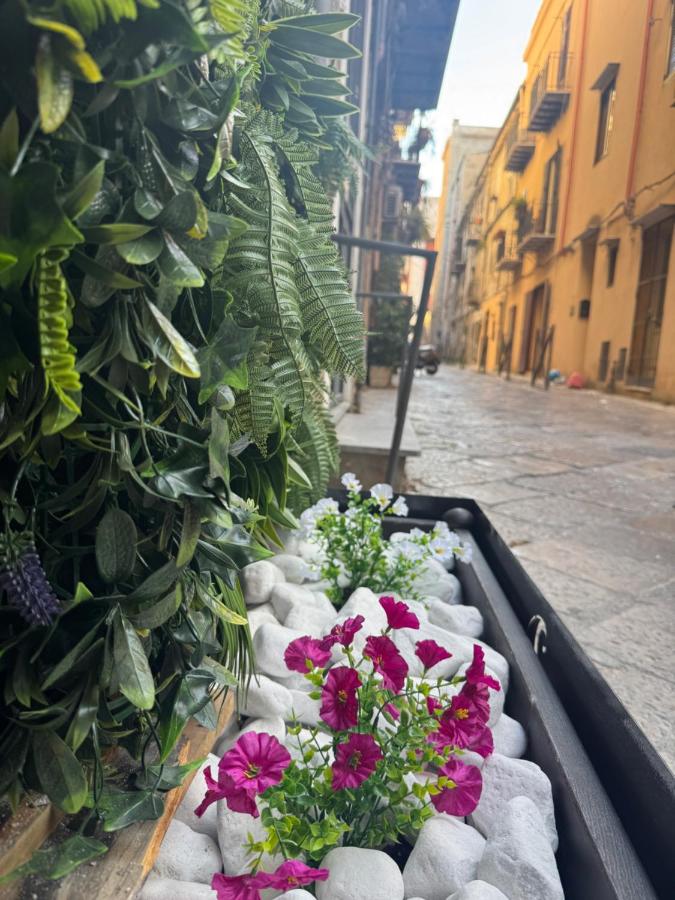 Sicilian House - B&B Palermo