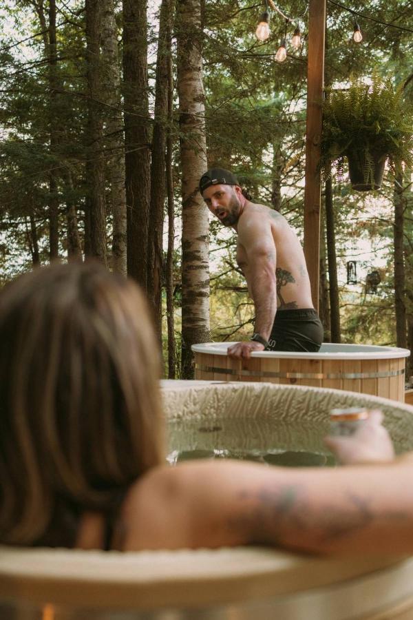 Aux Box Muskoka- sauna- cold plunge- hot tub - Bed and Breakfast Huntsville