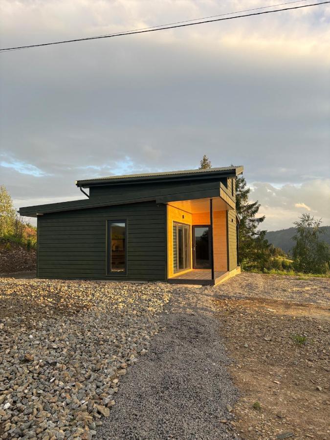 Evergreen cottage - B&B Slavs'ke