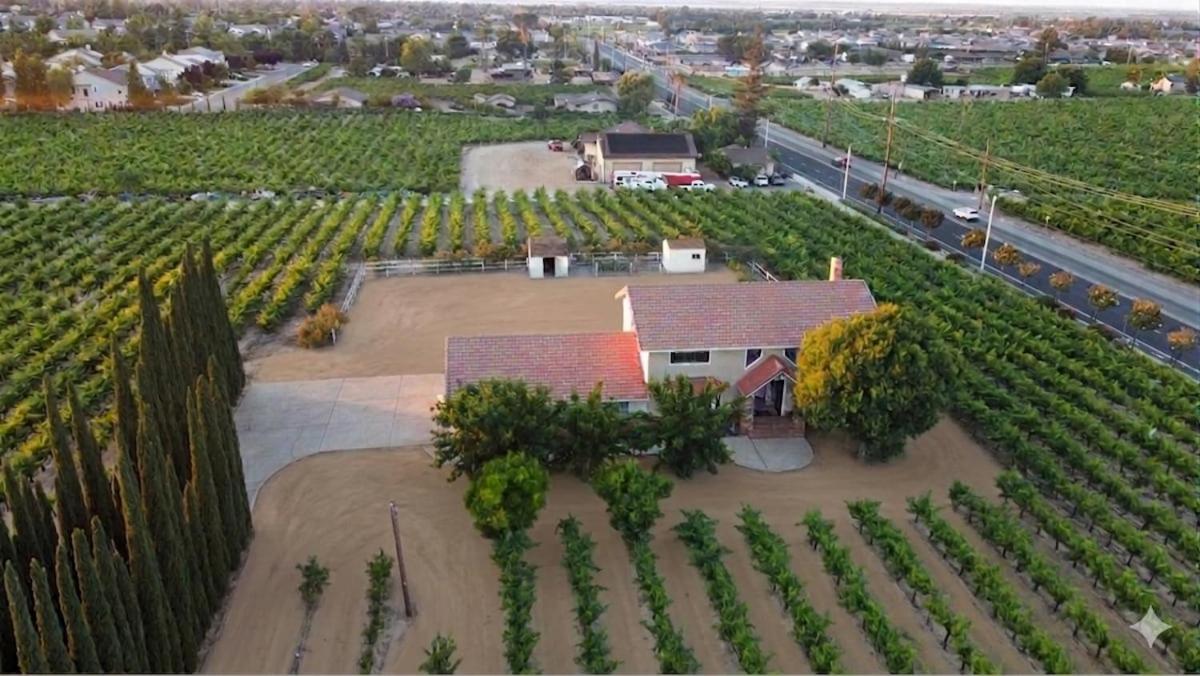 Vintage Vineyard Estate - B&B Oakley
