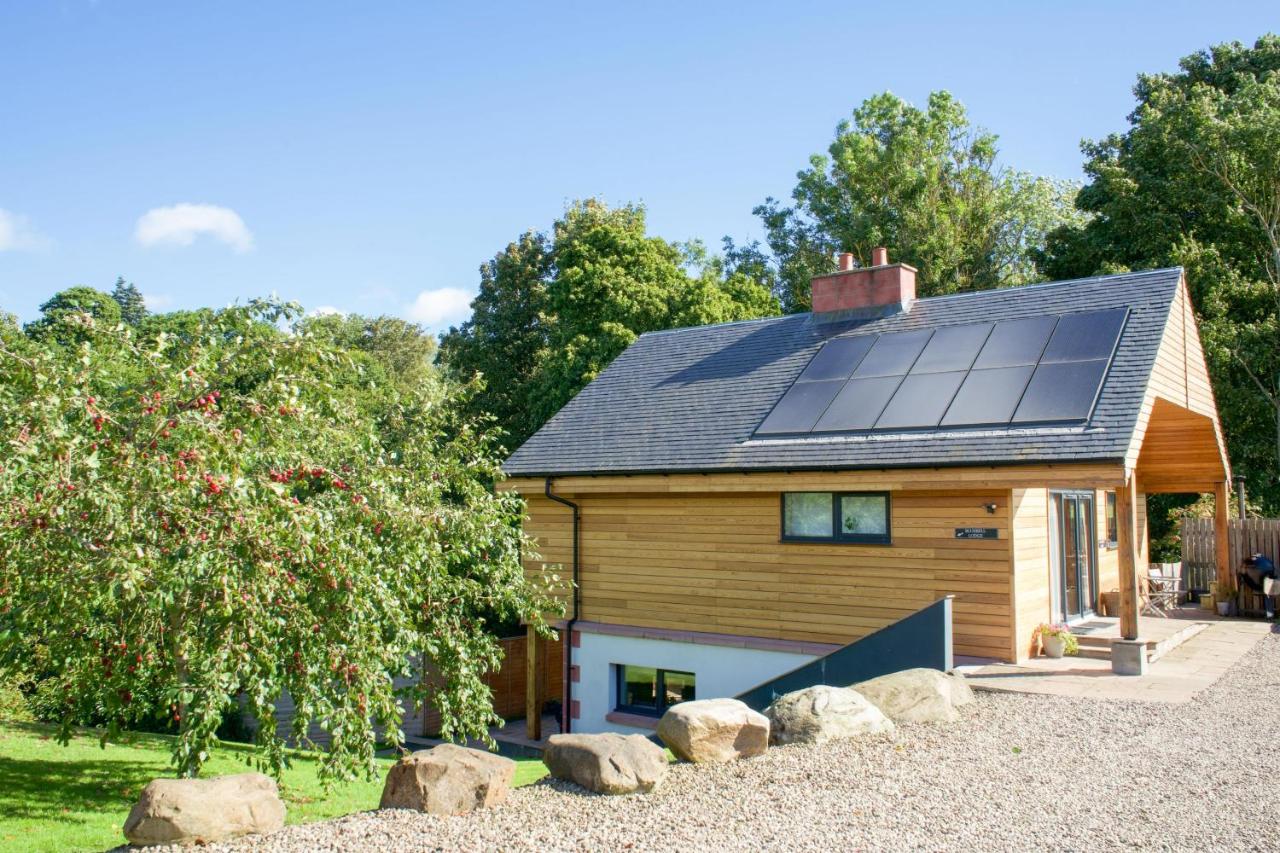 Bluebell Lodge - Ferienwohnung Errol