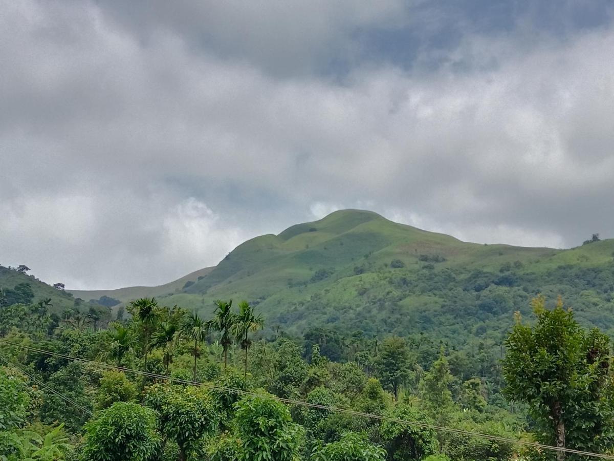 Ragikana homestsy - B&B Kalasa