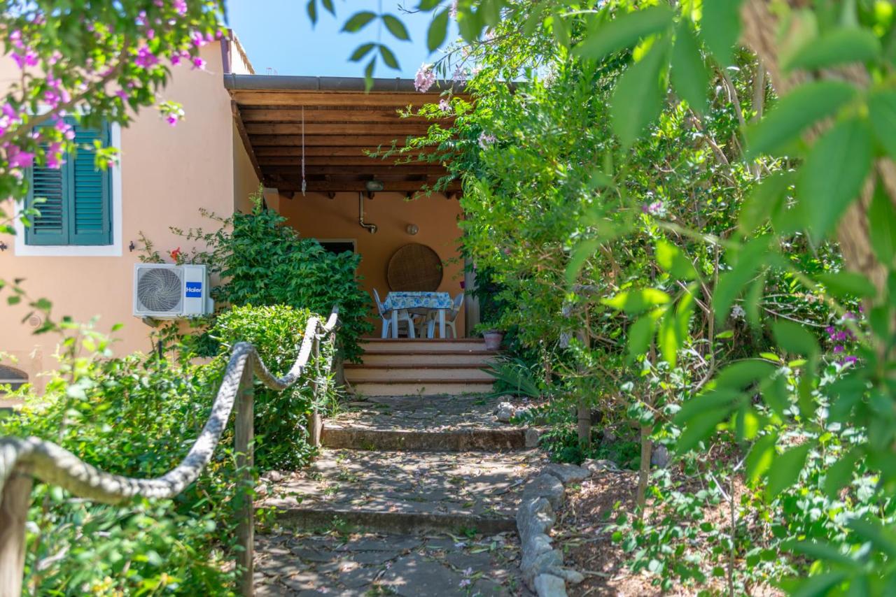 Acquariese - Casa Margot e Casa Giotto - B&B Portoferraio