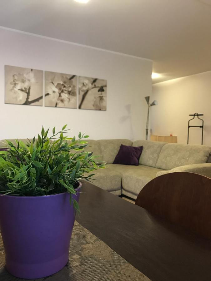 B&B Druskininkai - Šaulys1 - Bed and Breakfast Druskininkai