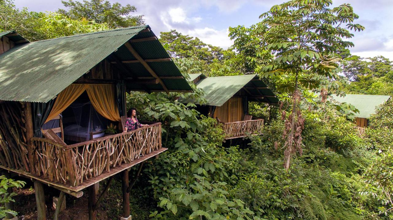 B&B La Fortuna - La Tigra Rainforest Lodge - Bed and Breakfast La Fortuna