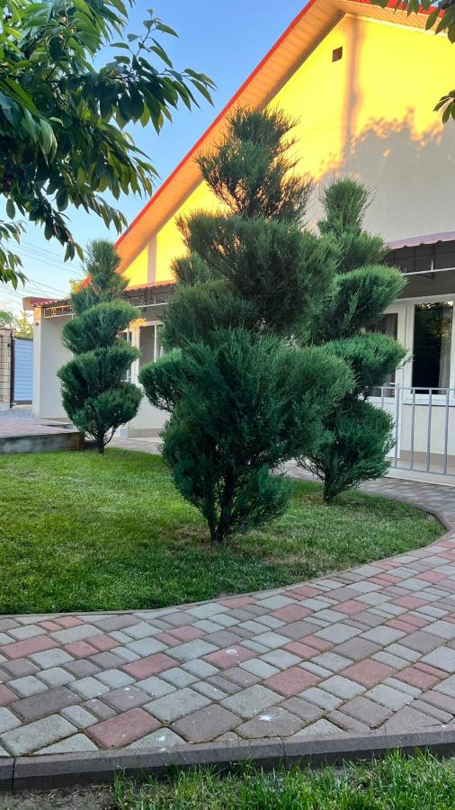 Гостевой дом Pearl by the sea - B&B Fontanka