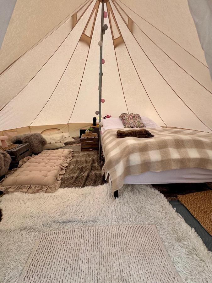 Rampestreken Glamping - B&B Åndalsnes