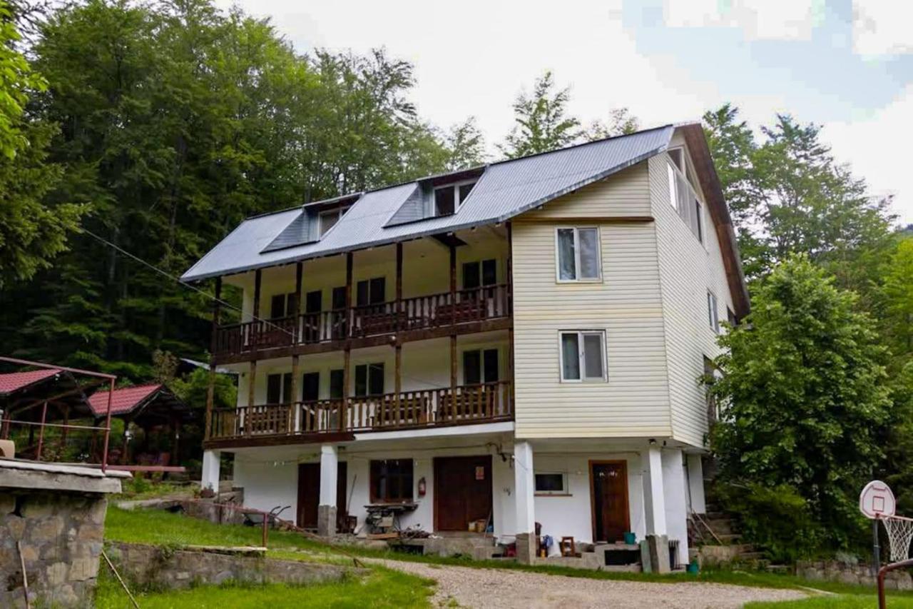 14 Scaune Casoca Tudose - Chambres d'hôtes Cașoca