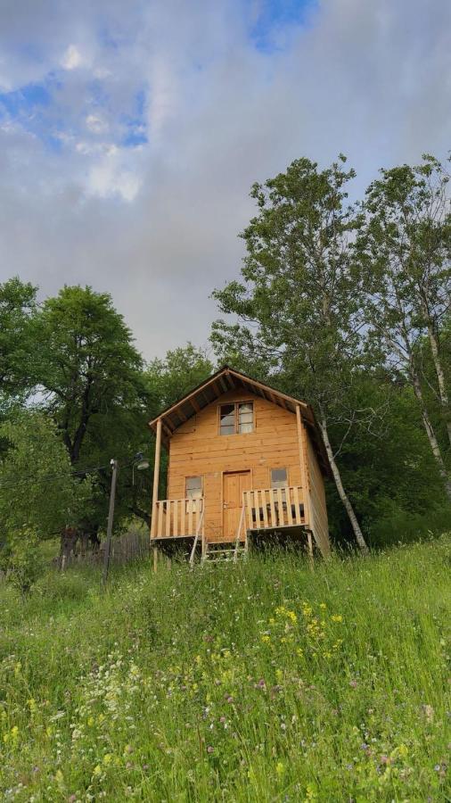 Towers Inn Cottage - Bed and Breakfast Mestia