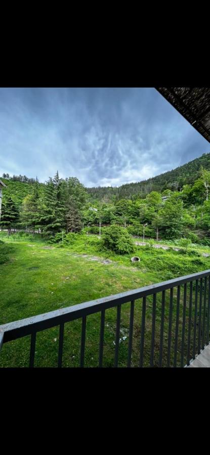 Tamo's Apartment - B&B Borjomi