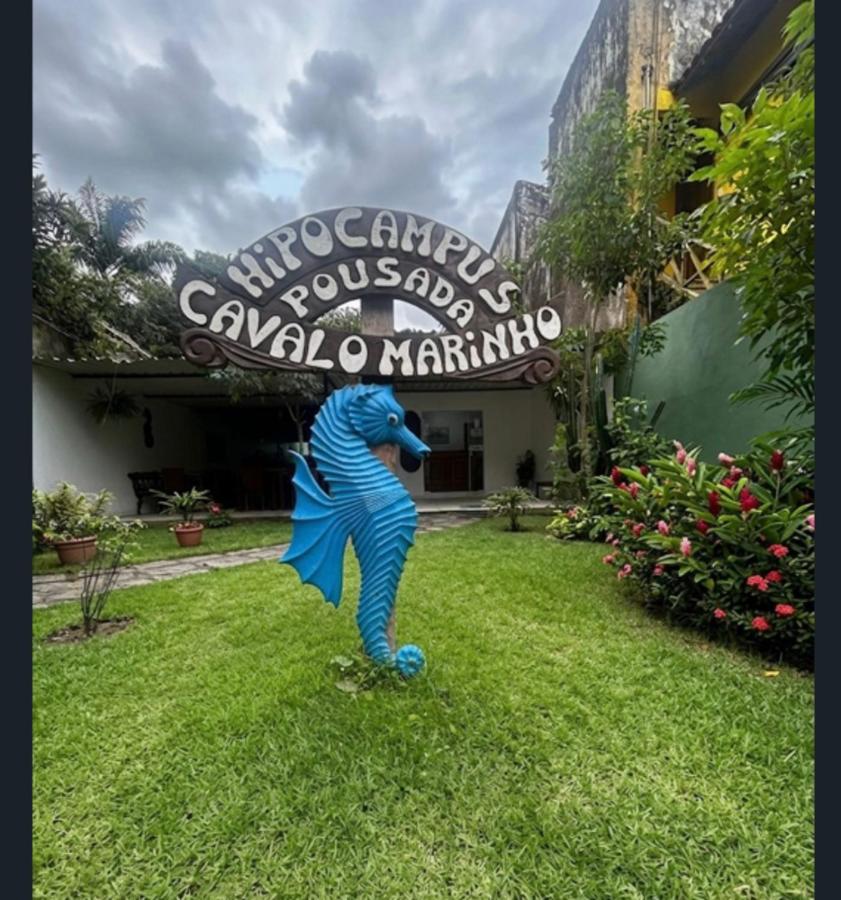 Pousada Cavalo Marinho - Bed and Breakfast Abraão