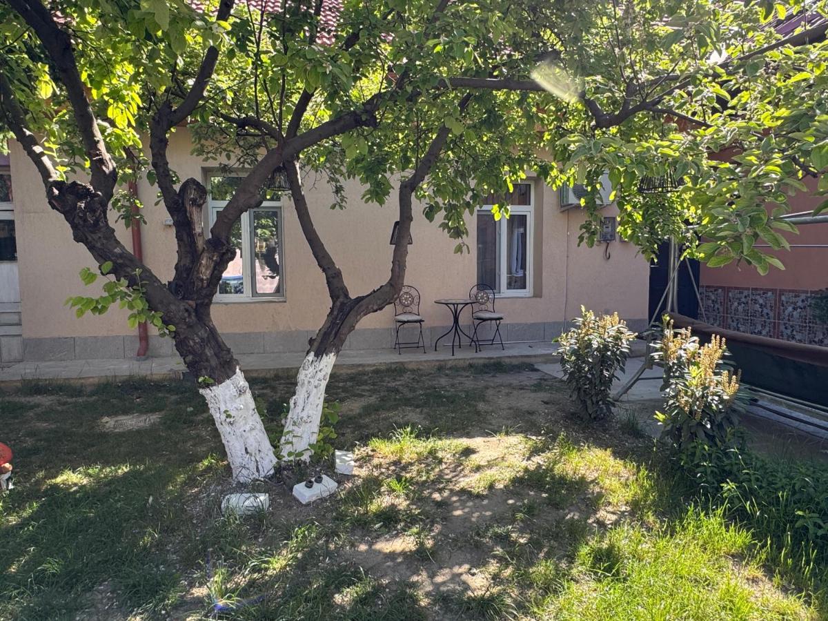 Live like a local in Timisoara - Ferienwohnung Temeswar