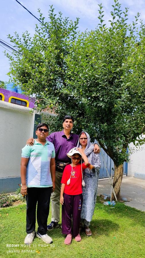 The Vintage Kashmir Homestay - B&B Srinagar