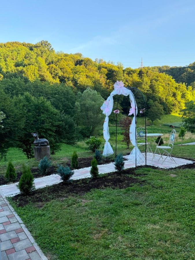 VILA LASOVIC + POOL + JACUZZI + SAUNA - Bed and Breakfast Tuhelj