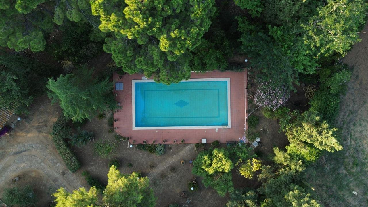 MasaHome - Bed and Breakfast Caltagirone