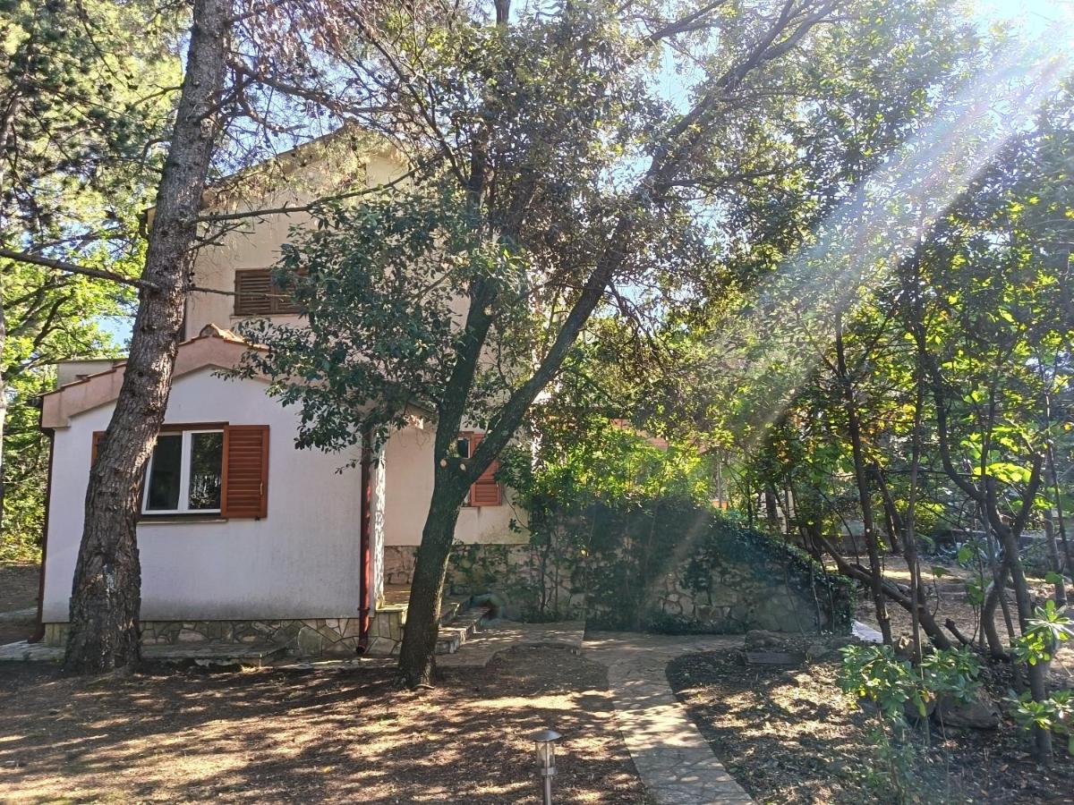 Pine Breeze - Cozy Family & Couple Oasis near Sea - B&B Punat