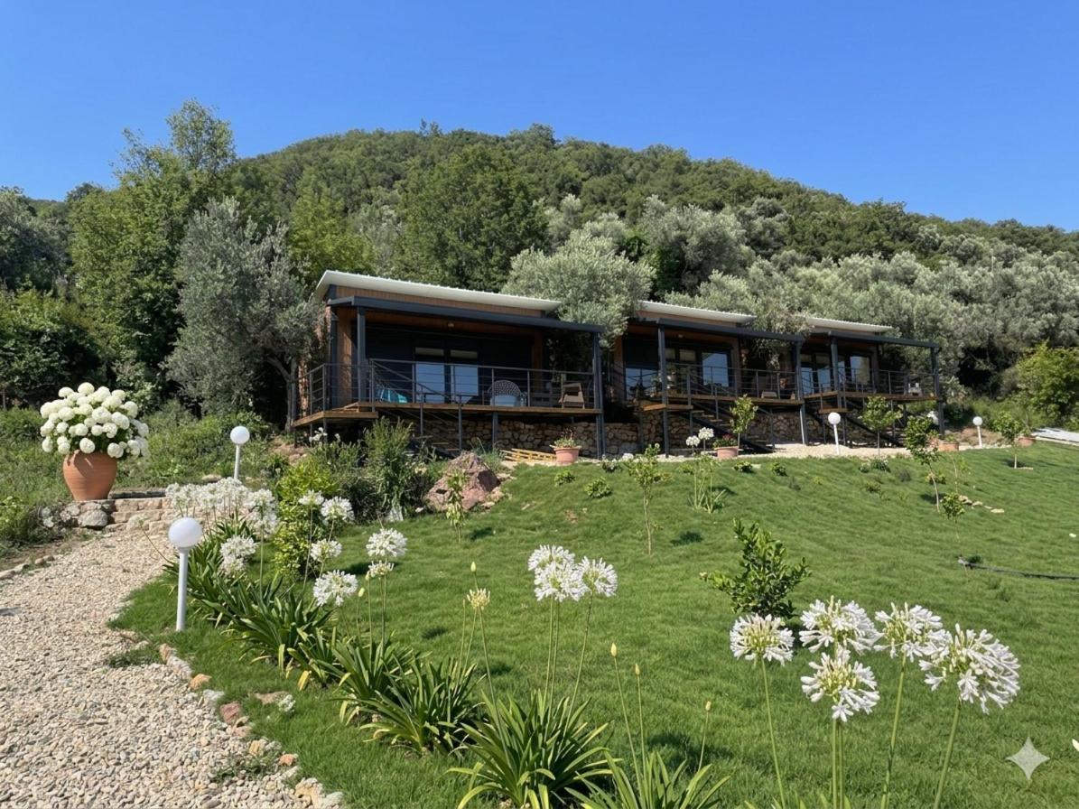 Petrovac Bungalows - Bed and Breakfast Petrovac na Moru