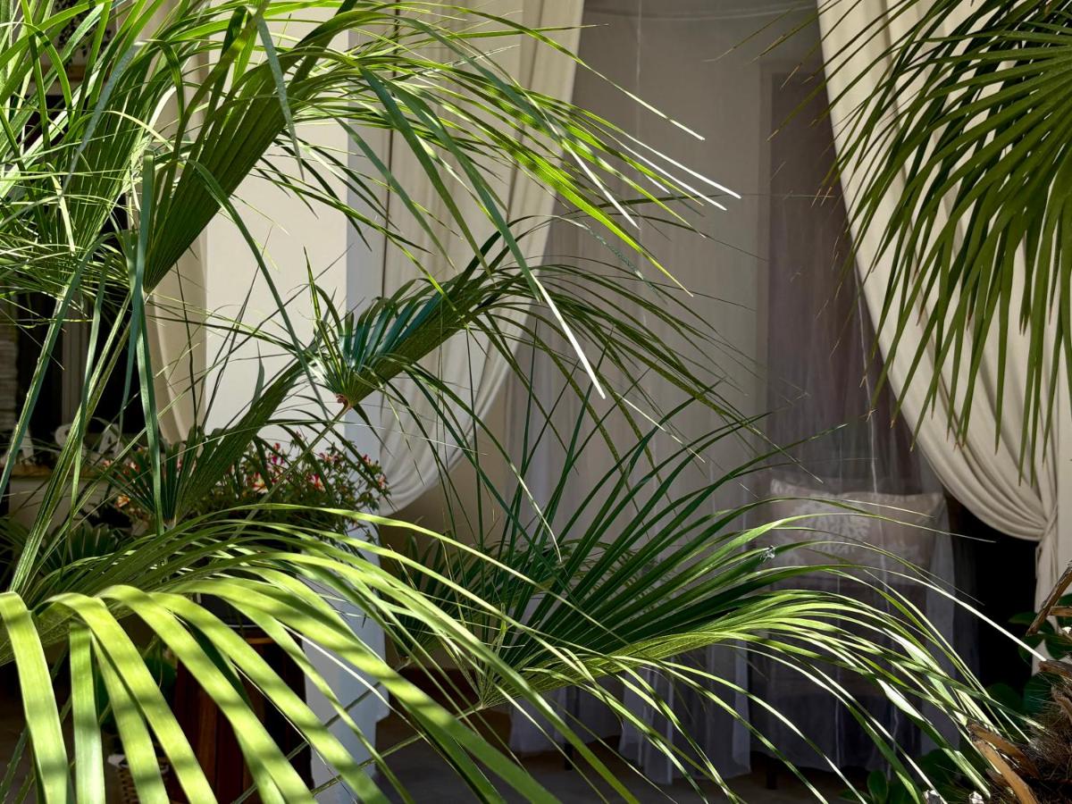 Casa Mar - B&B - - Chambres d'hôtes Terracina