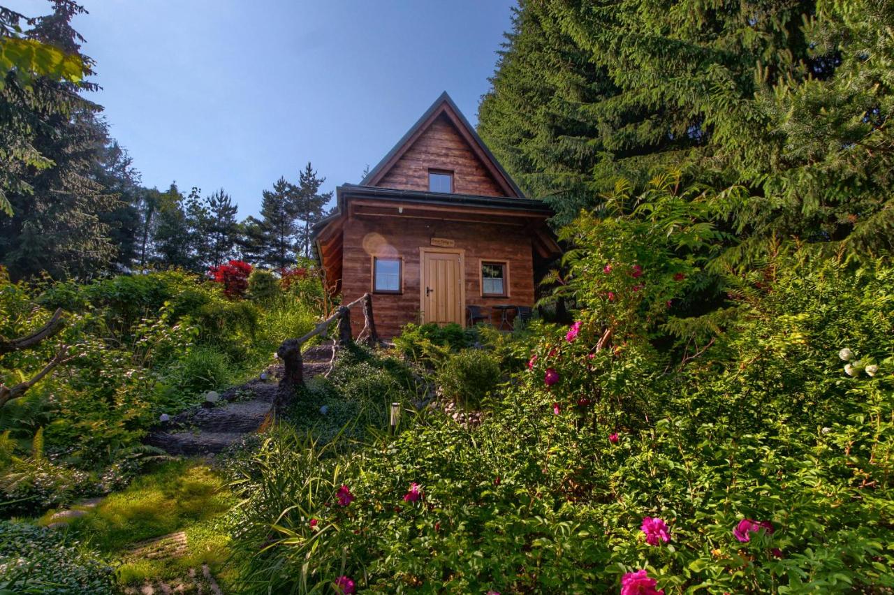Domek Oaza Tatry III - Chambres d'hôtes Zakopane
