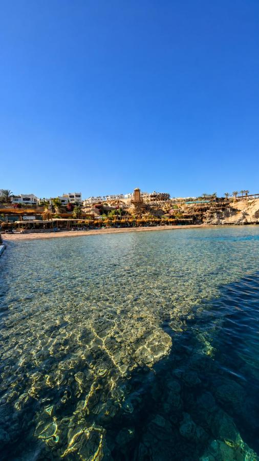 Sharks Bay Oasis - Bed and Breakfast Sharm el-Sheikh