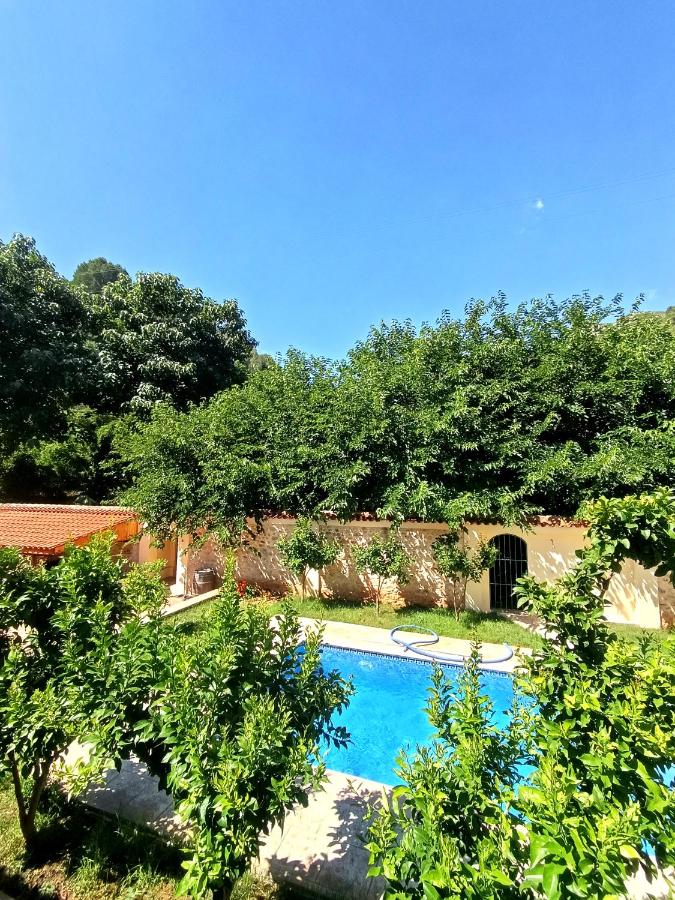 La Llar del Magraner - B&B Barraca de Aguas Vivas
