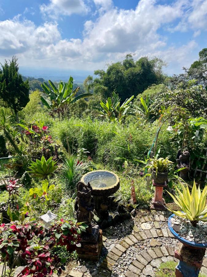 Cozy Private Vintage Cottage near Lake - B&B Bedegul