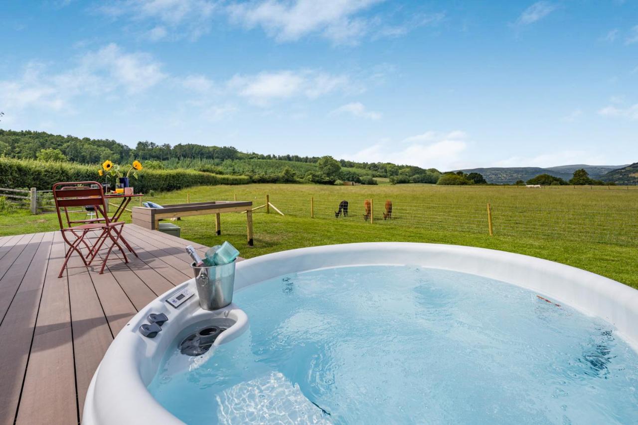 The Owl at Nest and Loaf - B&B Abergavenny