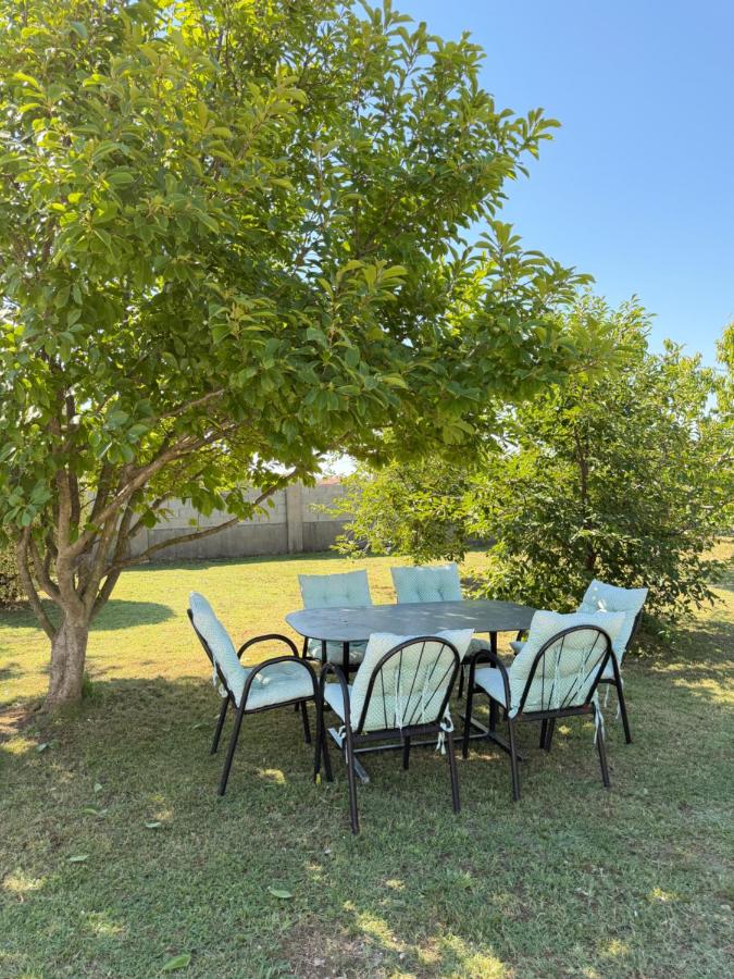 Apartments Ana - Airport shuttle option - B&B Podgorica