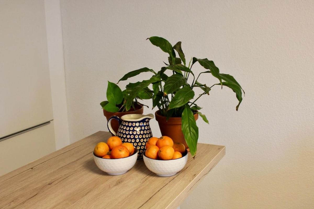 Cozy apartment near airport & trade fair - Chambres d'hôtes Leinfelden-Echterdingen