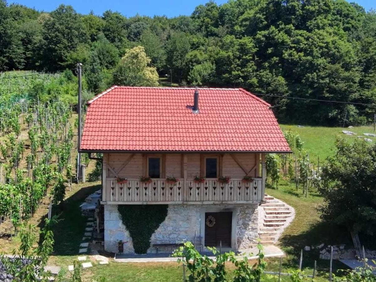 Oddih v Srčni hiški - Chambres d'hôtes Dvor